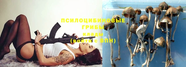 МДПВ Лихославль