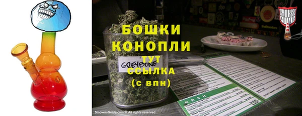 крисы Сясьстрой