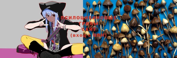 альфа пвп VHQ Липки